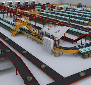 Sistema de clasificación de correa transversal (anular)
